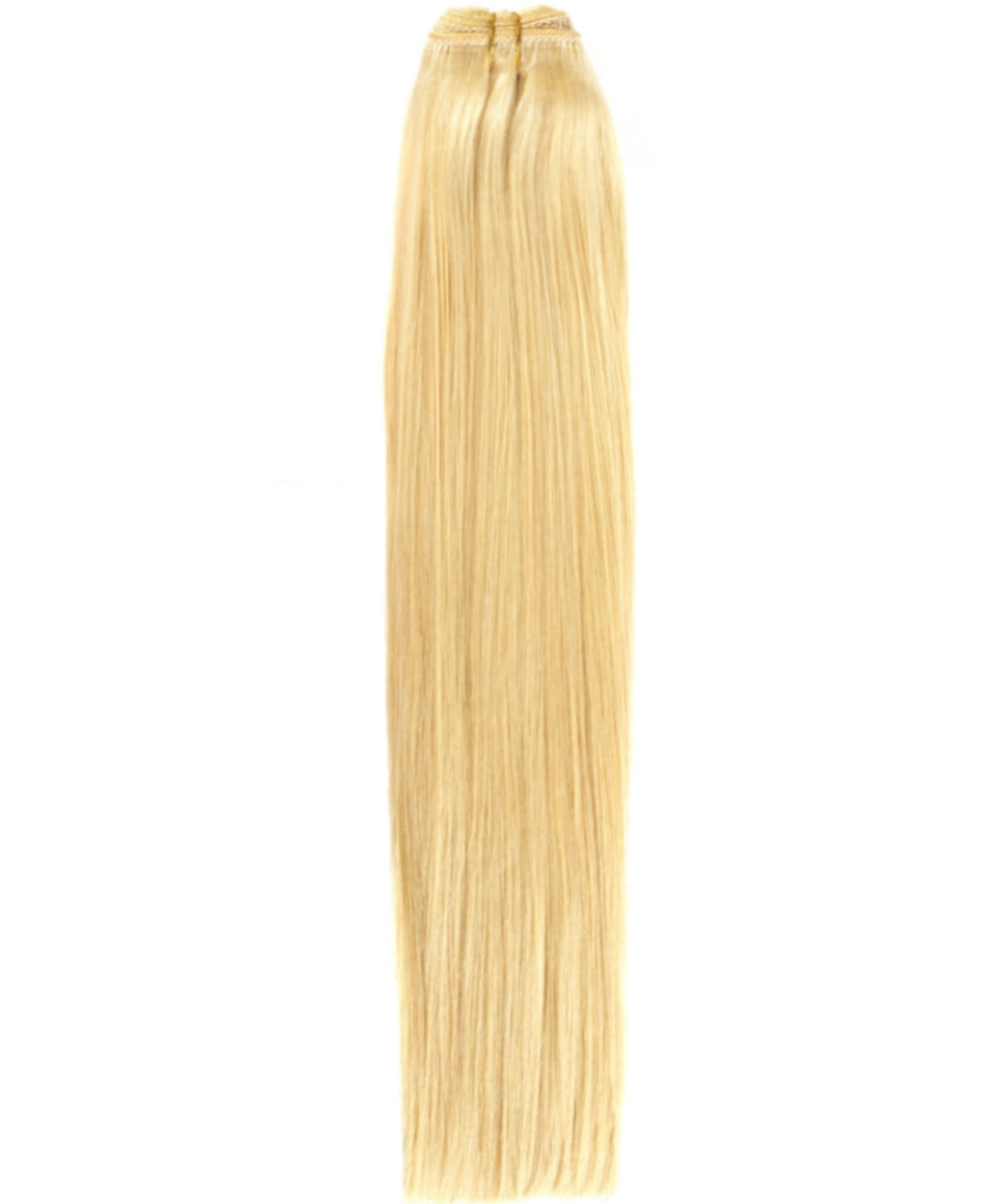 613 Natural straight -  Raw Vietnamese hair